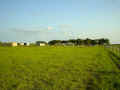 fieldshot.jpg (33006 bytes)
